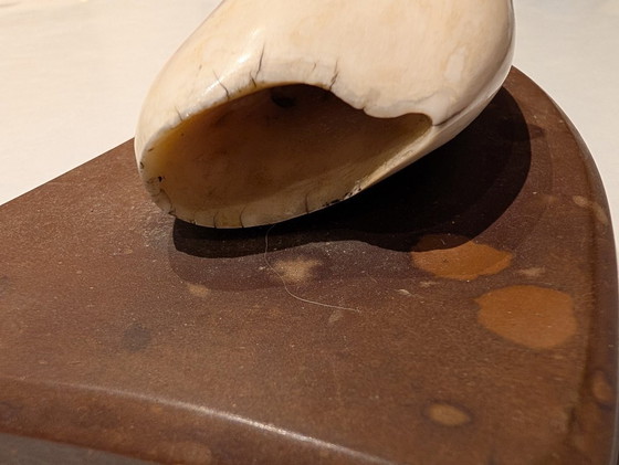 Image 1 of Dent de cachalot ancienne