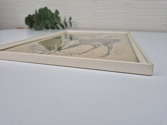 Vintage Cocky print/drawing of a fallow deer/deer with antlers., Paintings & Drawings, Paper, Wood, Black (photo 5 of 6)