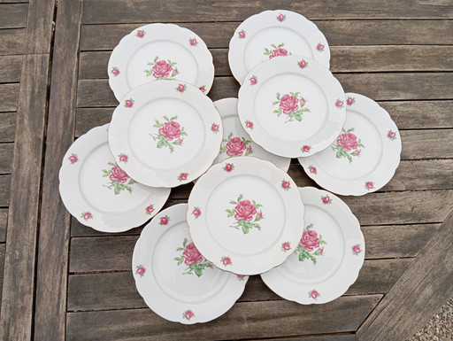 10 Retro Chique Rose Dessert Borden - Seltmann Weiden