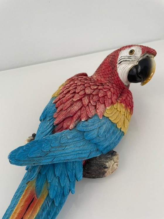 Image 1 of Wall sculpture red macaw parrot colorful design