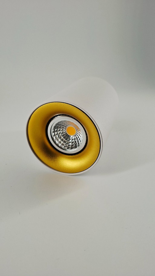 Foco de superficie / plafón LED cilíndrico en blanco o dorado