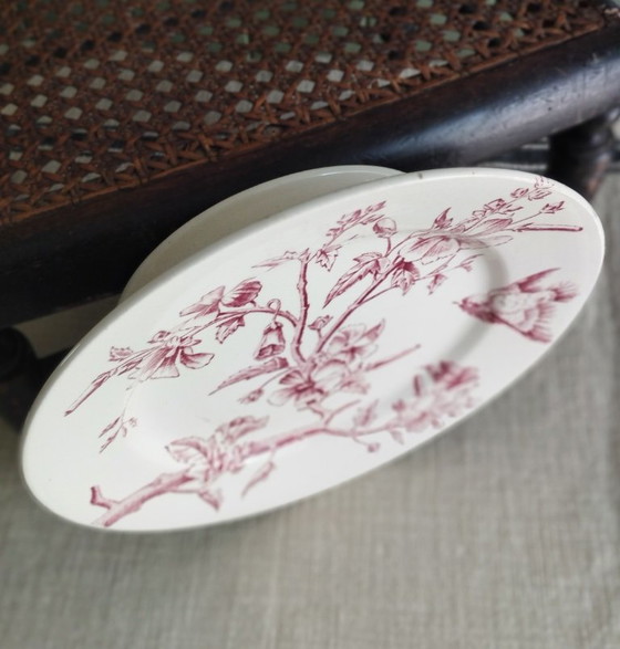 Piatto in pietra di ferro a più livelli "Small Bird" di Longchamp – Stoviglie, Ceramic (photo 14 of 15)