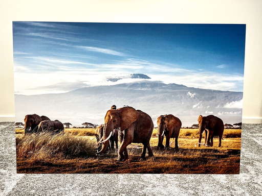 Herd of elephants wall decoration