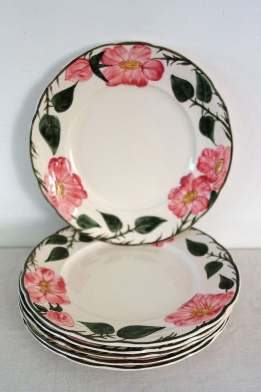 6 Villeroy & Boch „Wild Rose“ Speiseteller, 1970 – servies, Porcelain
