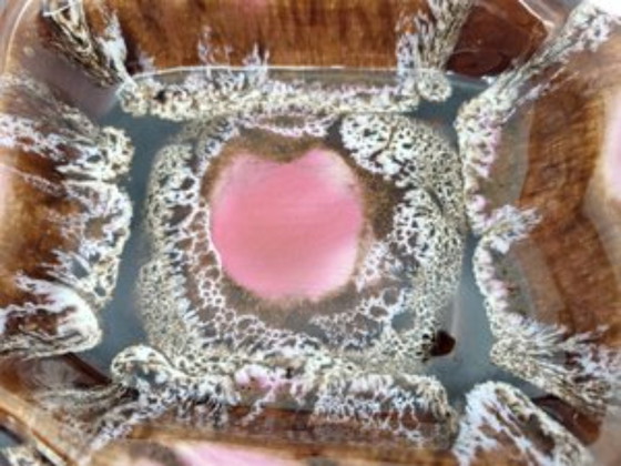 Image 1 of Vide poche Vallauris en céramique Côte-d'Azur France 1960 Vintage