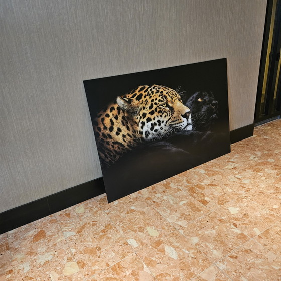 Ebenholz und Elfenbein, Panther Krebs Mat Aluminium – YellowKorner, Fotografie, Paper (photo 5 of 8)