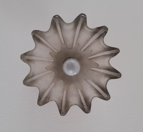 Image 1 of Lampada a sospensione in vetro ghiacciato a forma di calice e di petalo