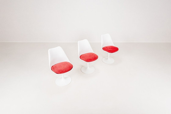 Image 1 of Set of 6 Tulip Dining Chairs by Maurice Burke for Arkana, England, 1960s