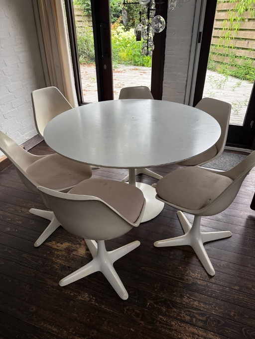 Arkana tulip eetset