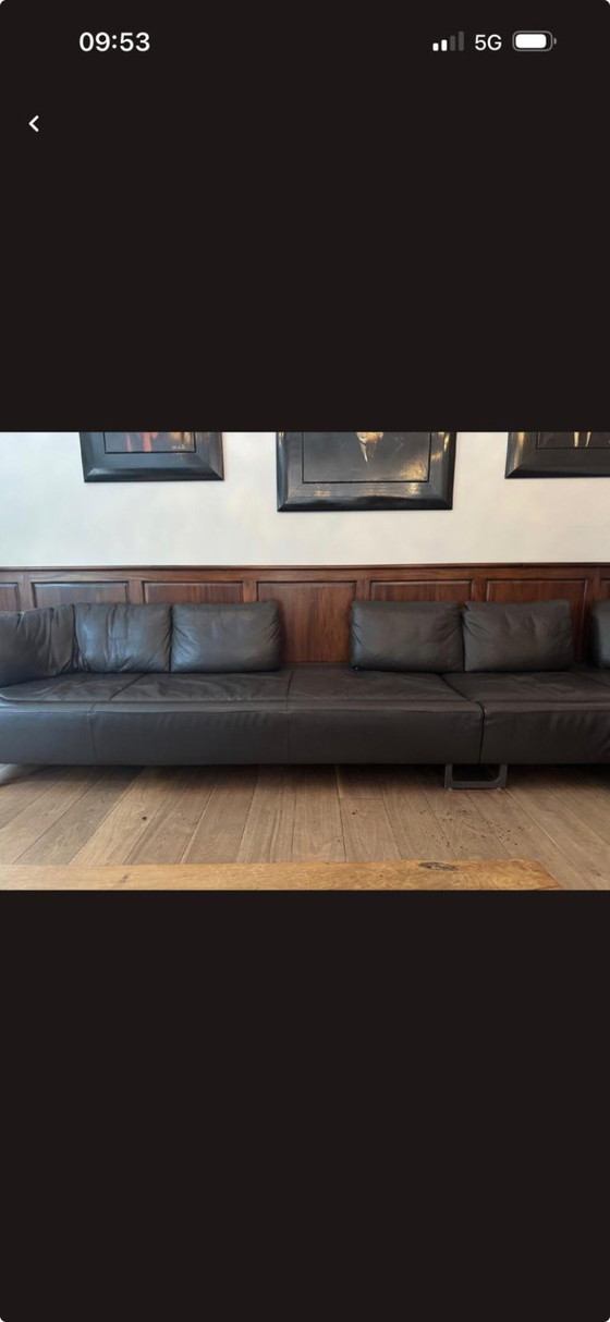 De Sede Modello DS-11 Svizzera – Divani angolari, Leather (photo 2 of 5)