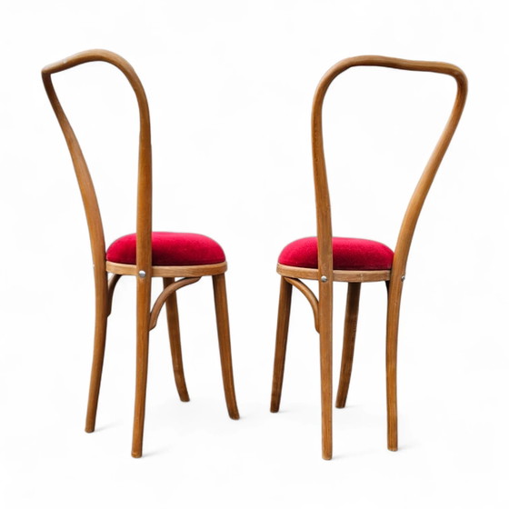 2 x Rara Silla auxiliar de madera curvada años 60 – Sillas auxiliares (photo 5 of 18)