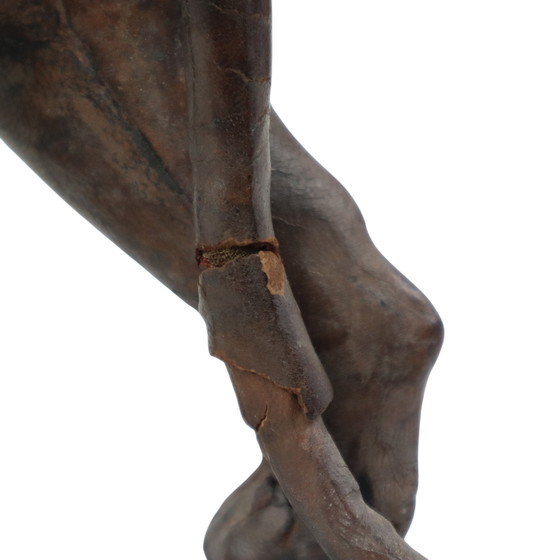 Image 1 of Pantera di pelle