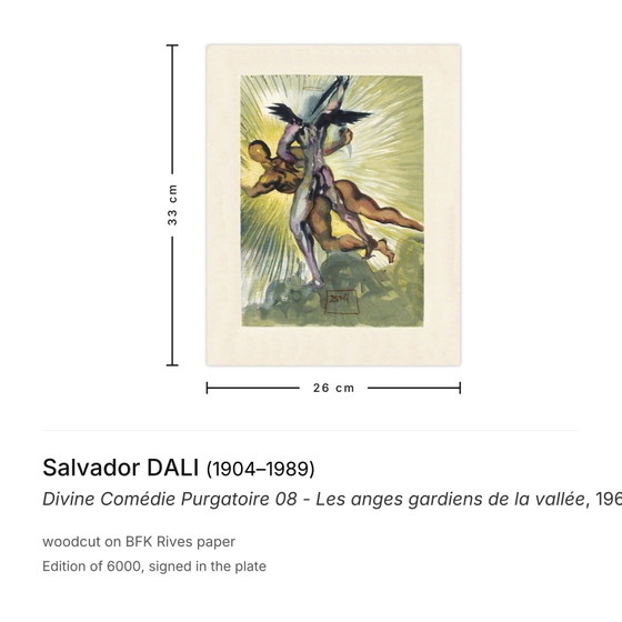 Salvador Dalí Houtsnede Goddelijke Komedie Vagevuur 08 - De beschermengelen van de Va – Litho's & Zeefdrukken (photo 3 of 5)