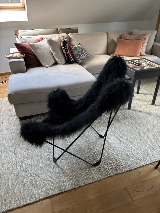 Image 1 of Iceland Mariposa Butterfly stoel