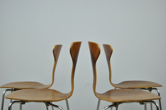 Image 1 of Fritz Hansen / Vintage Mosquito Dining Chairs / Arne Jacobsen / 1960S Denmark