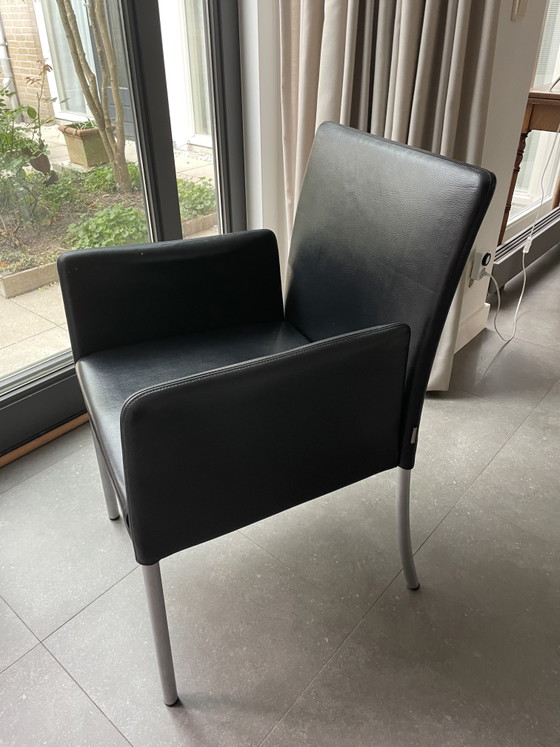 4 Walter Knoll Dining Chairs Model Jason – Leather, Metal (photo 3 of 5)