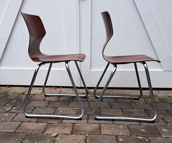 Image 1 of 2 chaises Flototto Pagholz