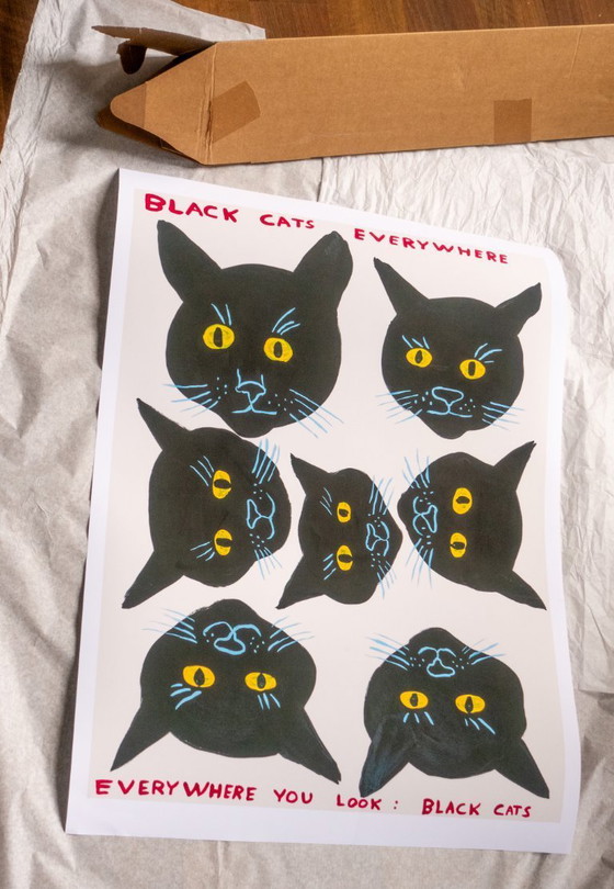 Image 1 of Schwarze Katzen überall – David Shrigley – Poster 50 × 70 cm