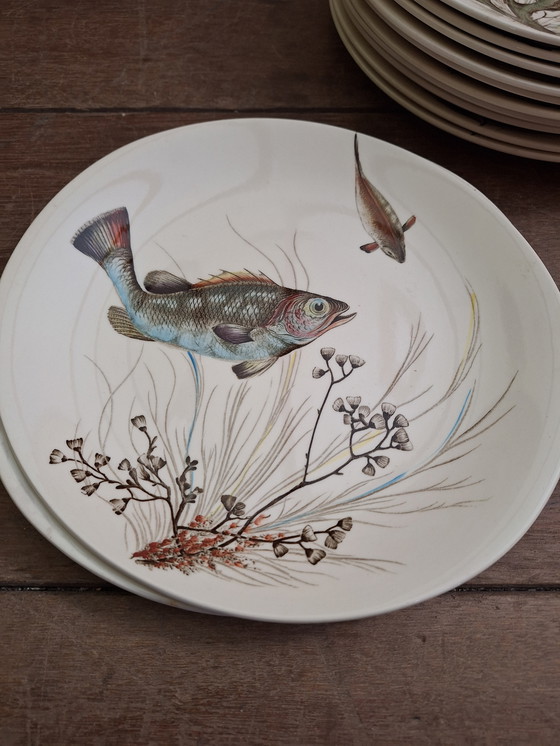 Image 1 of Juego de vajilla Johnson Bros FISH de 15 piezas