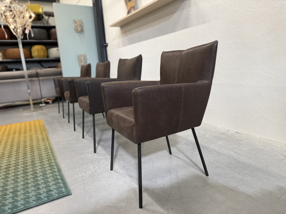 Image 1 of 4 Design on Stock Sedie da pranzo Moka in pelle Cabo Marron