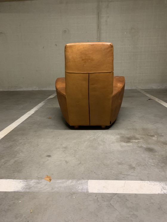 Image 1 of « LONGA » Gerard van den Berg avec harnais en cuir/cuir de buffle.