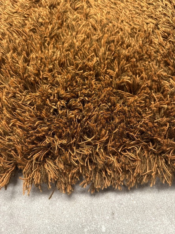 Image 1 of Brink en Campman Shade High Umber Tobac Rug 11903 190 x 300 cm