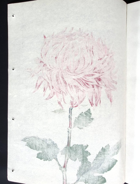 Keika Hasegawa - "One Hundred Chrysanthemums" – Paintings & Drawings, Paper (photo 2 of 8)