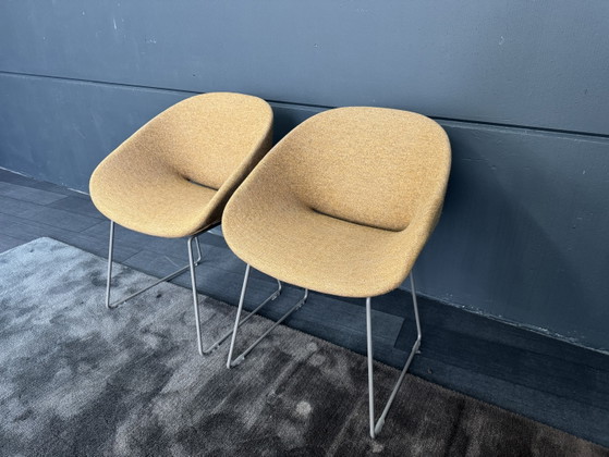 Showroommodel Artifort Beso Stoel – Eetkamerstoelen, Wool (photo 4 of 6)