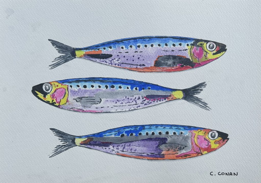 Sardines Aquarel