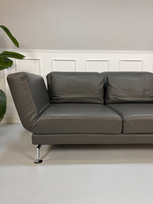 Brühl Moule Sofa Leder Grau Schlaffunktion