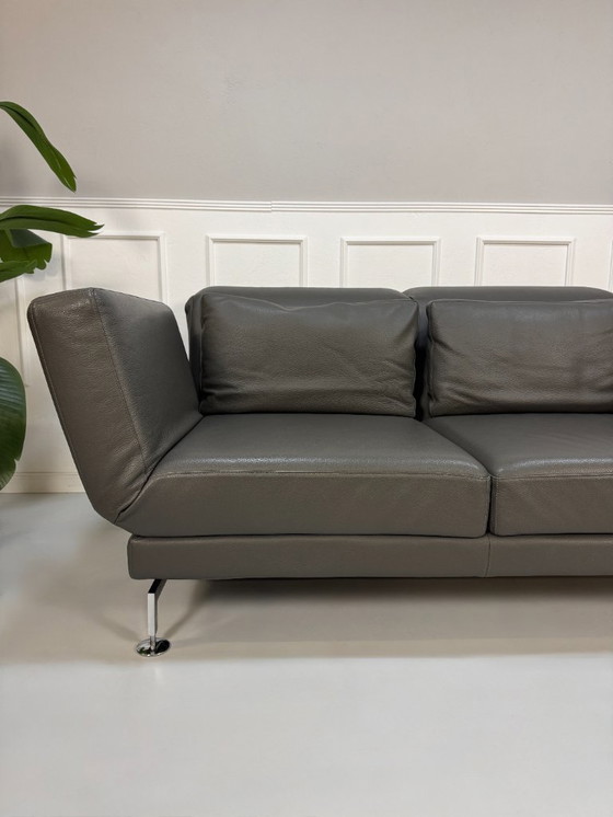 Image 1 of Brühl Moule Sofa Leder Grau Schlaffunktion