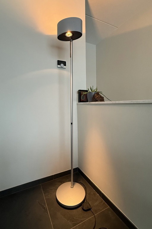 Belux halogen floor lamp