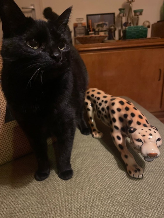 Image 1 of Large Vintage Lenci Style leopard