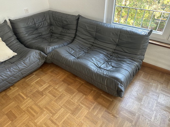 Ligne Roset Togo Pelle Kyoto – Divani 3 posti (photo 3 of 15)
