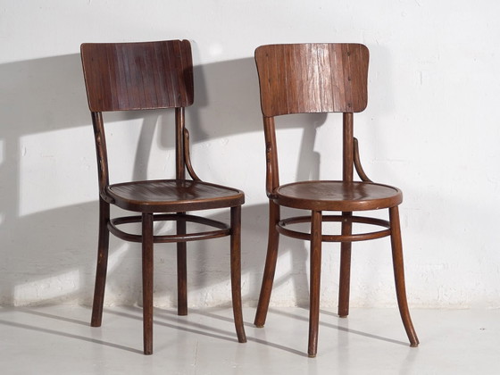 Chaises anciennes en bois courbé (c.1940). Lot de 4 pièces #5 – Chaises de salle à manger, Wood (photo 26 of 40)