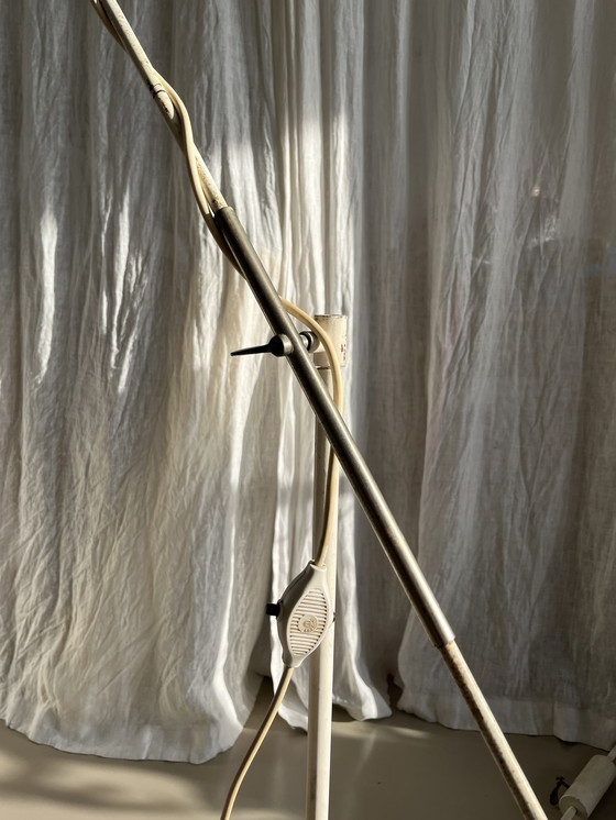 Image 1 of Stehleuchte & Pendelleuchte Artifort 1956