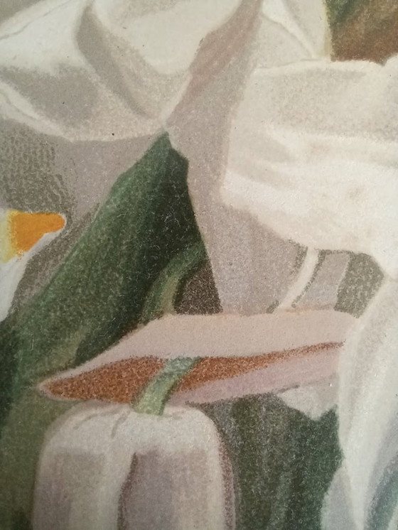 Image 1 of Cromolitografía original rara «Reichenbachia» (1888) – H.G. Moon