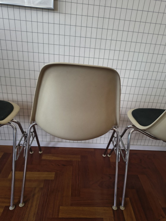 Image 1 of 3 x Eames Miller DSX stacking base fiberglass