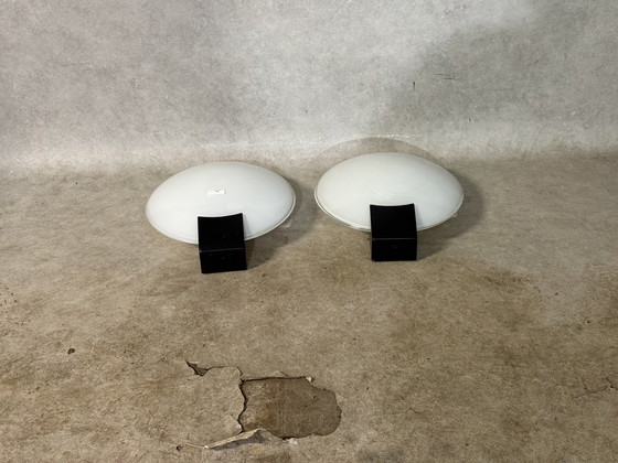 Image 1 of Coppia di applique Europhane