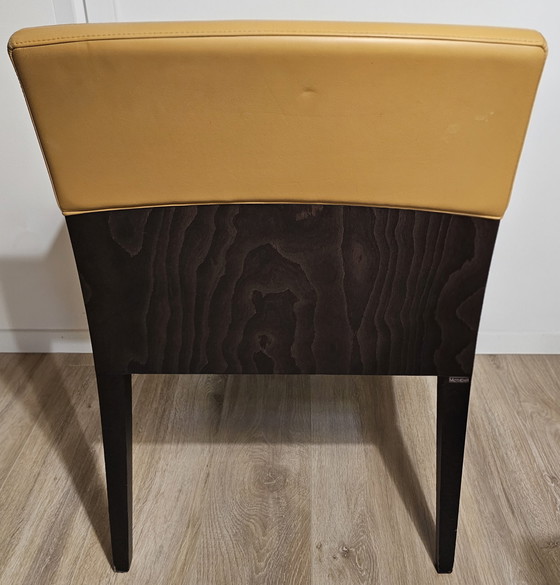 Image 1 of Montbel Charme 02531 Pelle