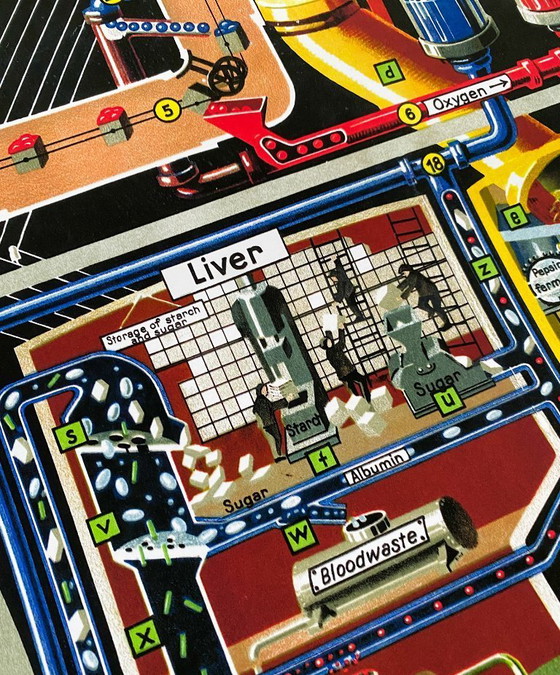 Image 1 of The human factory - Sketch of the body's functions - 1931 - Poster 61 x 91 cm