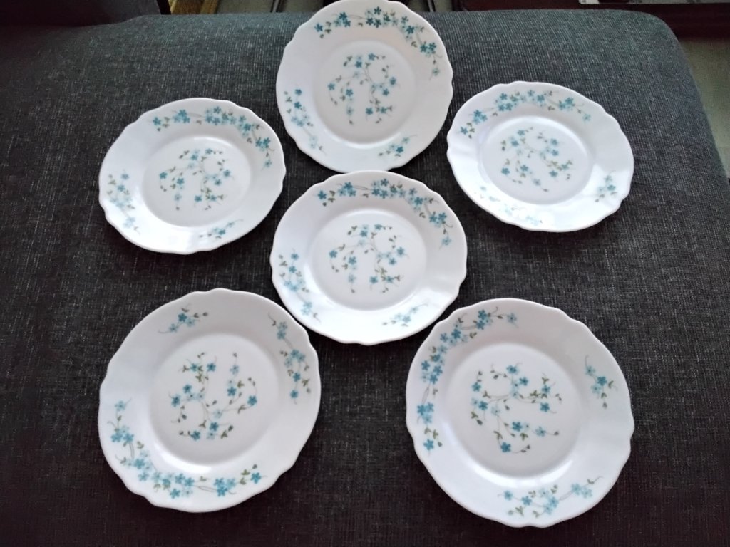 Lot De 6 Assiettes Arcopal Myosotis Veronica - 23 Cm De Diamètre - Céramique Vintage - Occasion