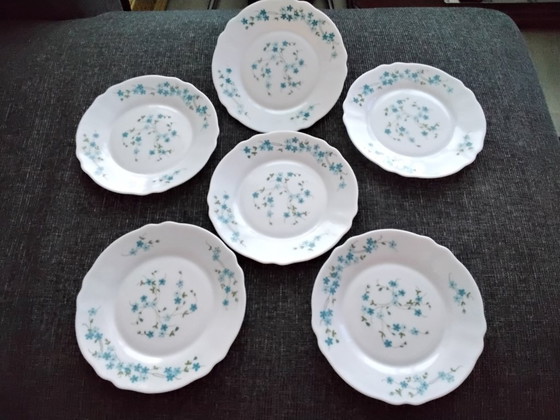 Image 1 of ARCOPAL 6 piatti piccoli collezione Veronica Myosotis