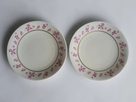 6 piatti in porcellana di Limoges - Raynaud & Cie – Stoviglie (photo 5 of 12)
