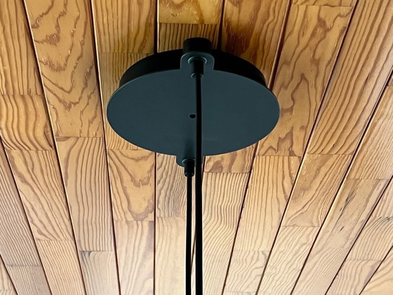 Image 1 of Suspension Accademia Terra