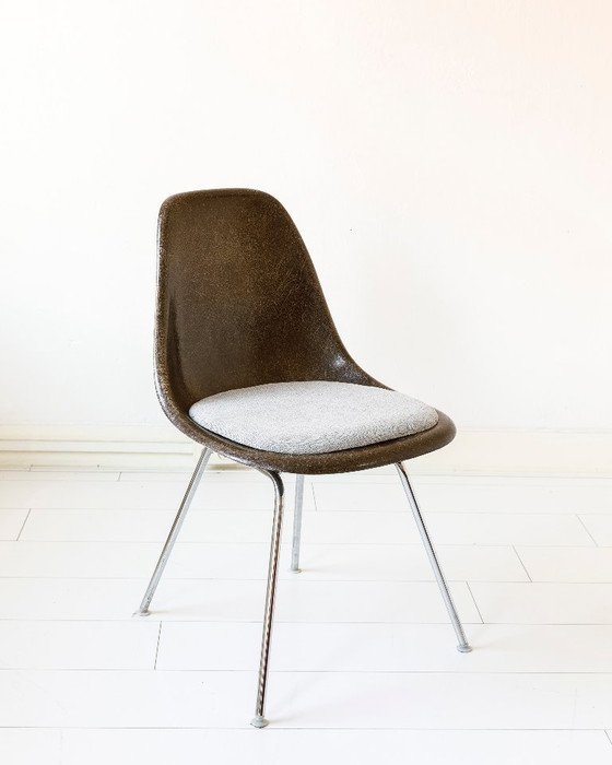 Image 1 of Set van twee Eames kuipjes/ eetkamerstoelen