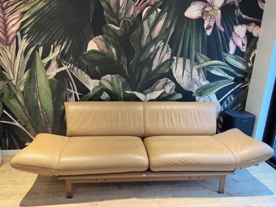 Image 1 of De Sede DS140