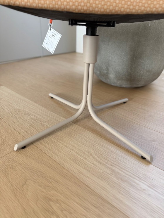 Image 1 of Sedie Quatuor Design