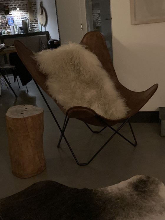 Mariposa Chair Cuera Pampa, Fauteuil Papillon – Puur design&interieur, Leather (photo 5 of 5)