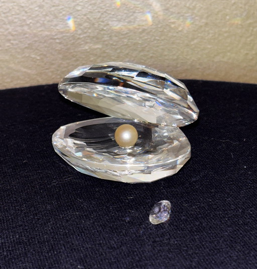 Huître avec perle Swarovski - intacte